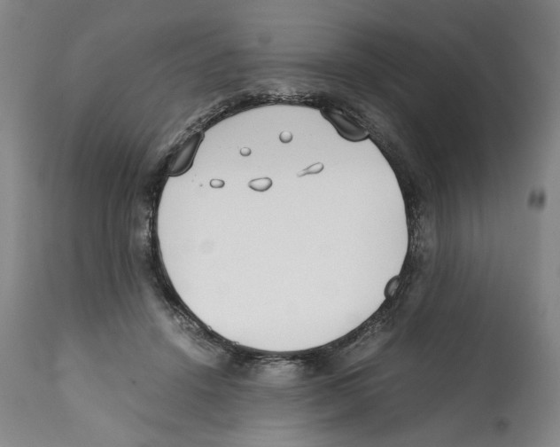 X0000112370456200909241153