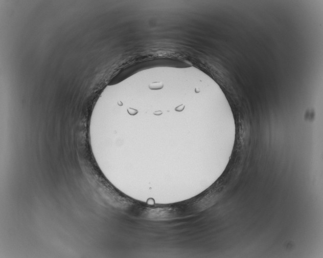 X0000112370461200909241153
