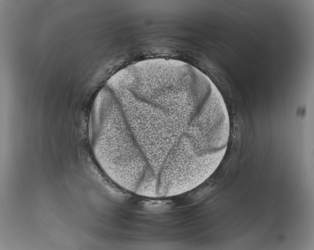 X0000112370465200909241153