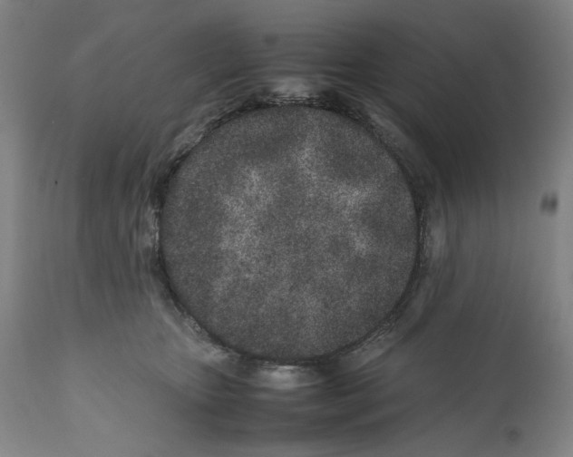 X0000112370467200909241153