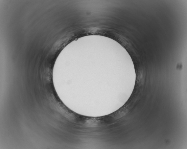 X0000112370470200909241154