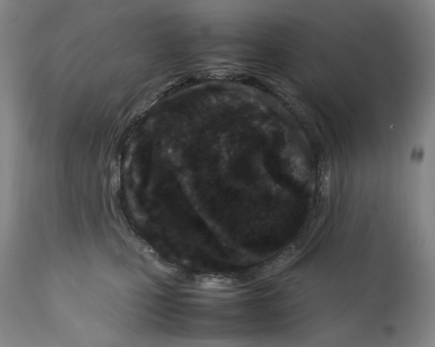 X0000112370471200909241154