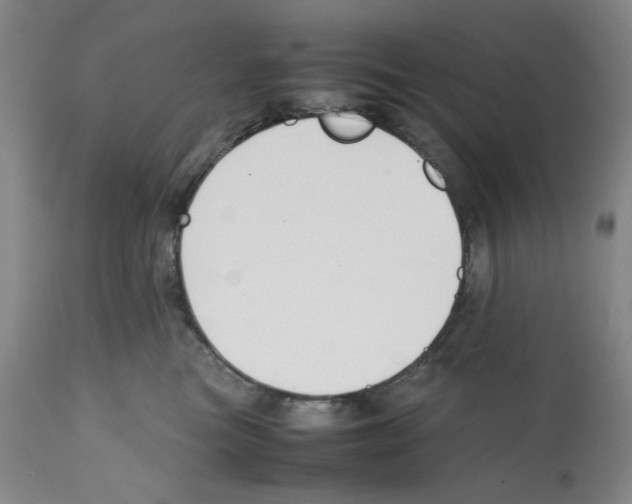 X0000112370473200909241154