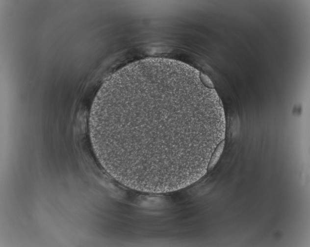 X0000112370475200909241154