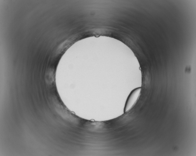 X0000112370478200909241154