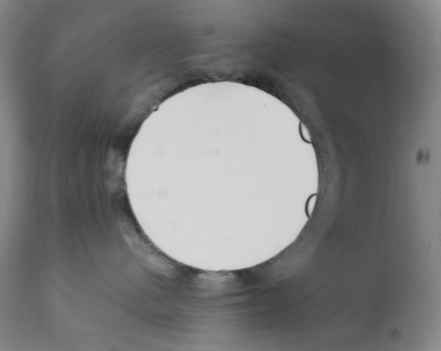 X0000112370480200909241154