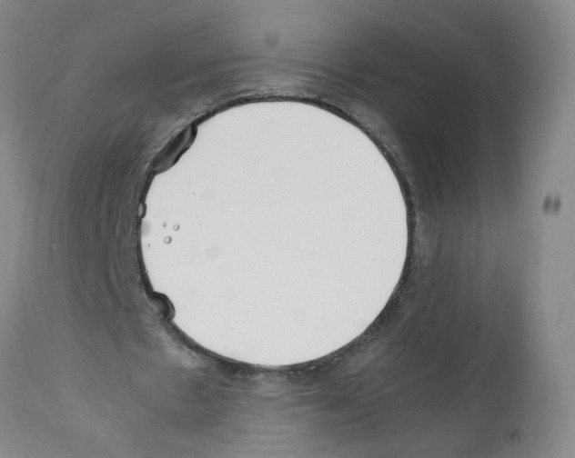 X0000112370481200909241153