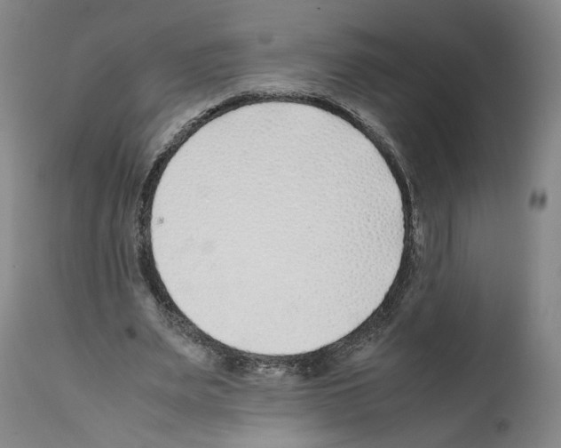 X0000112370487200909241153