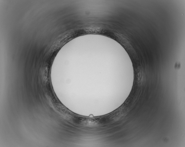X0000112370498200909241153
