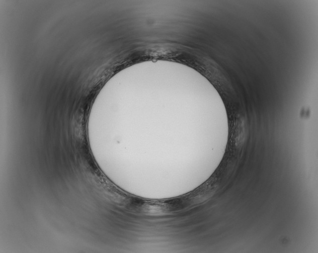 X0000112370510200909241153