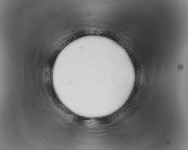 X0000112370511200909241153