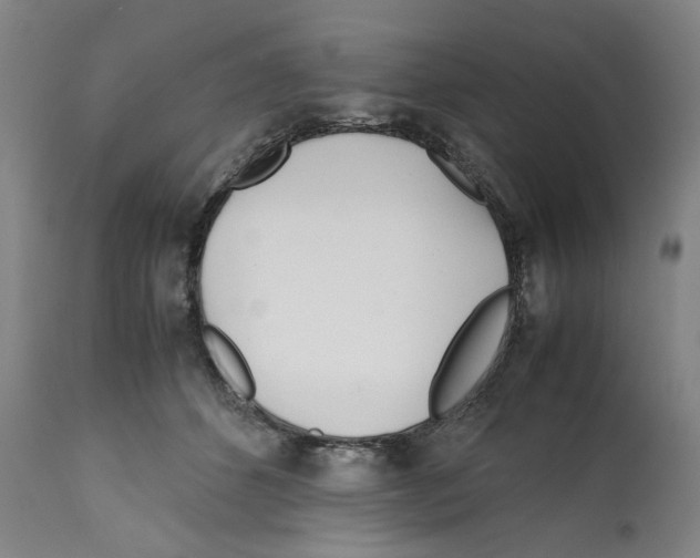 X0000112370512200909241153