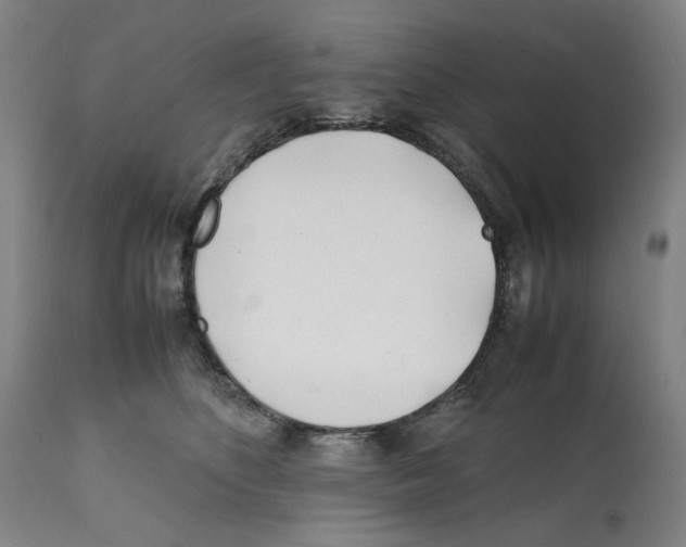 X0000112370516200909241153