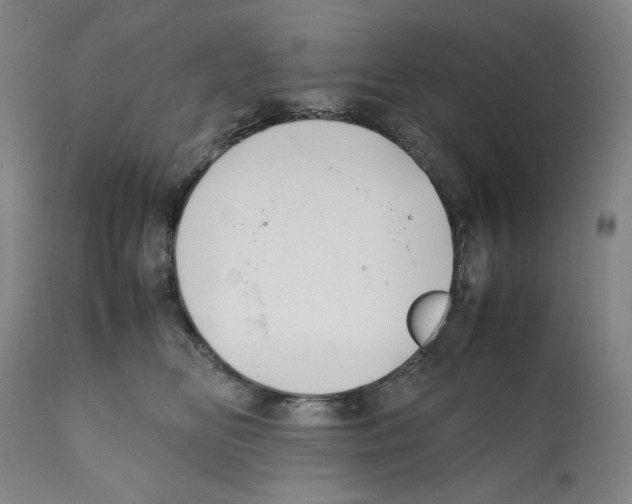 X0000112370518200909241152