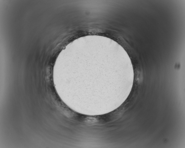 X0000112370519200909241152