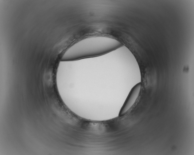 X0000112370520200909241152