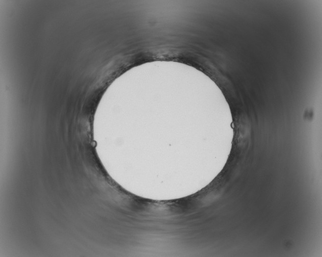 X0000112370523200909241152