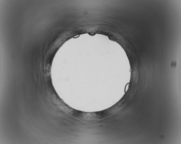 X0000112370525200909241152