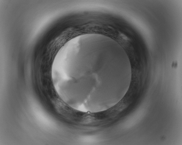 X0000112370526200909241152