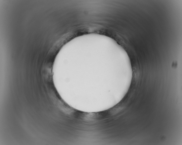X0000112370527200909241152