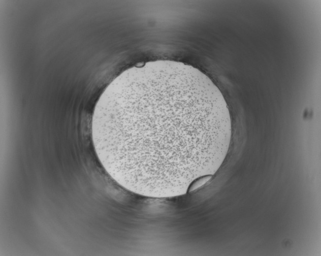 X0000112370528200909241152