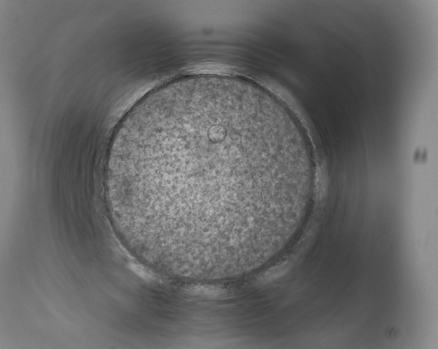 X0000112370529200909241152