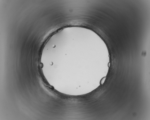 X0000112370530200909241152