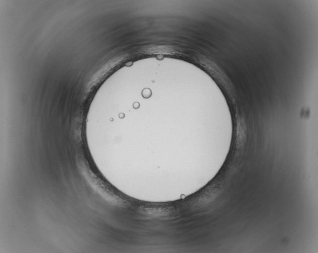 X0000112370533200909241152