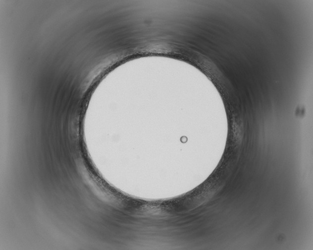 X0000112370534200909241152