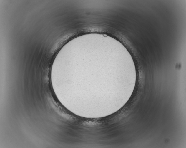 X0000112370537200909241152