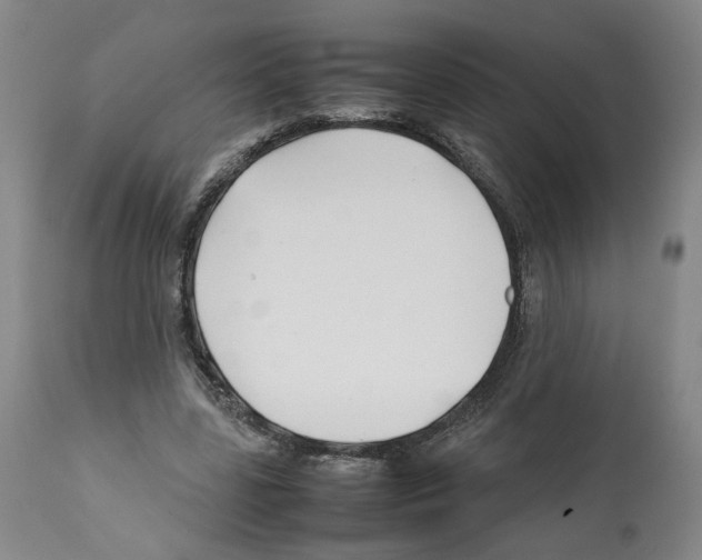X0000112370539200909241152