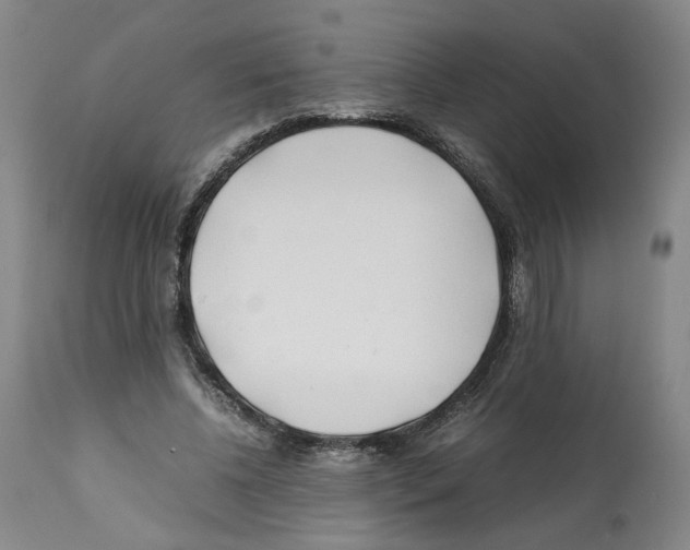 X0000112370540200909241152