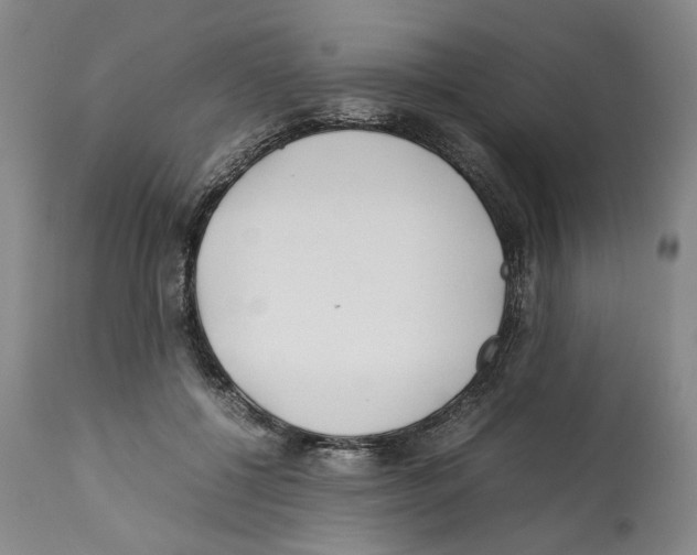X0000112370552200909241152
