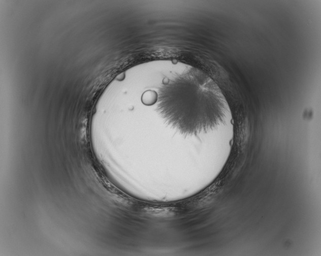 X0000112370553200909241152