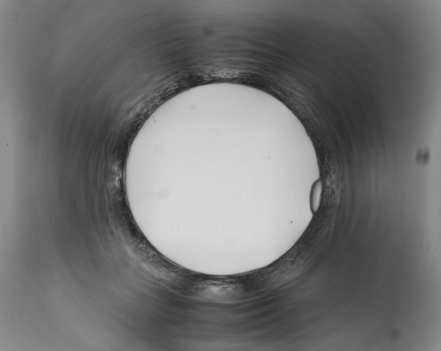 X0000112370555200909241152