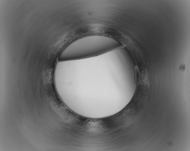 X0000112370560200909241152