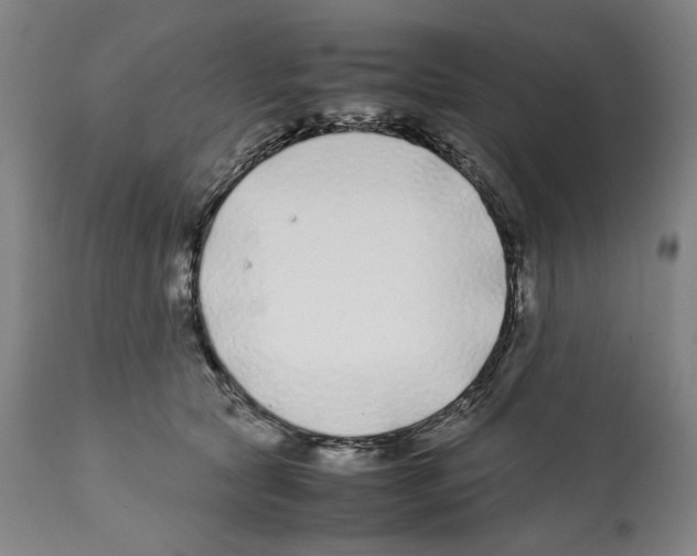 X0000112370561200909241152