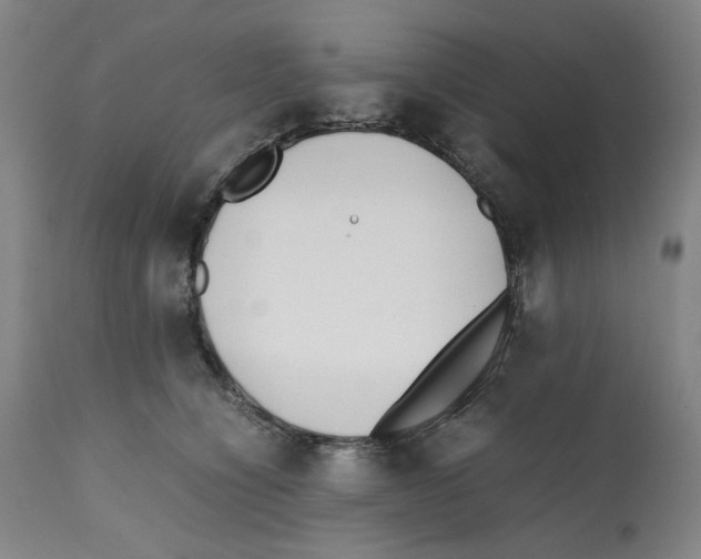 X0000112370564200909241152