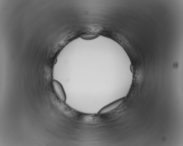 X0000112370568200909241152
