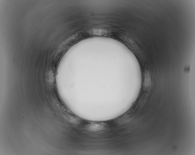 X0000112370569200909241152