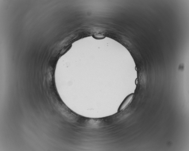 X0000112370570200909241152