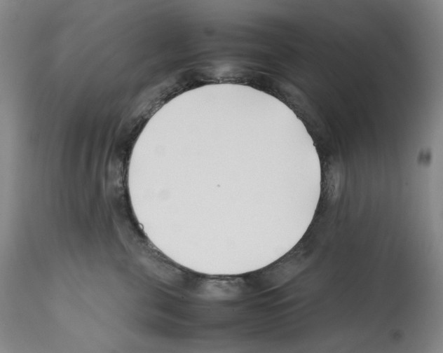 X0000112370571200909241152