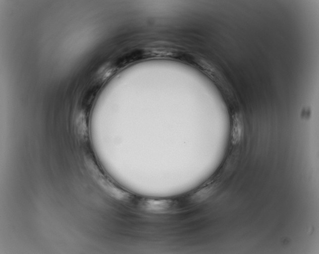 X0000112370573200909241152