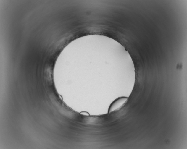 X0000112370575200909241152