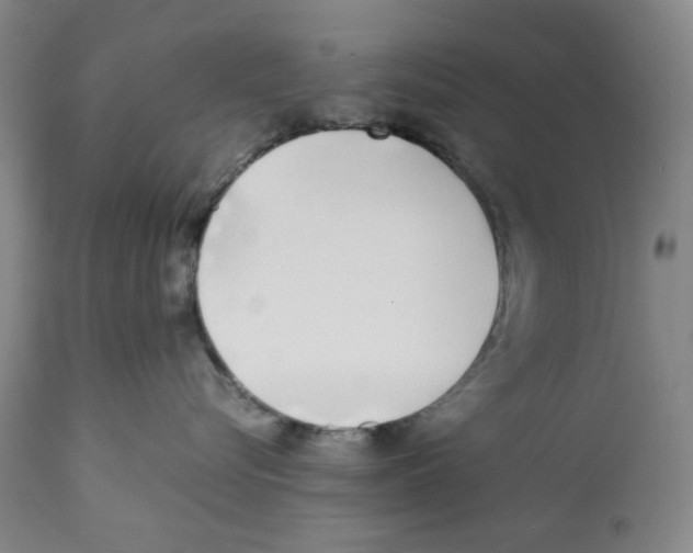 X0000112370576200909241152
