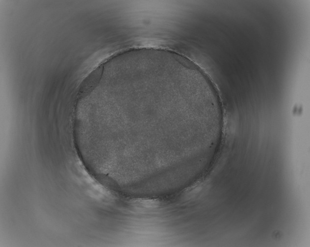 X0000112370577200909241152