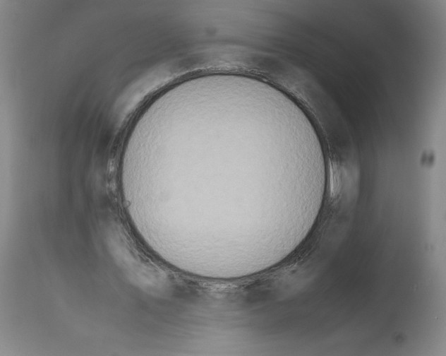 X0000112370579200909241152