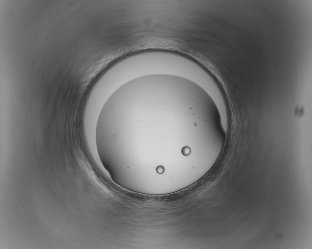 X0000112370581200909241152