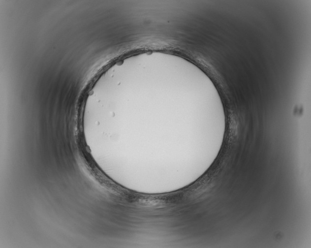X0000112370582200909241152