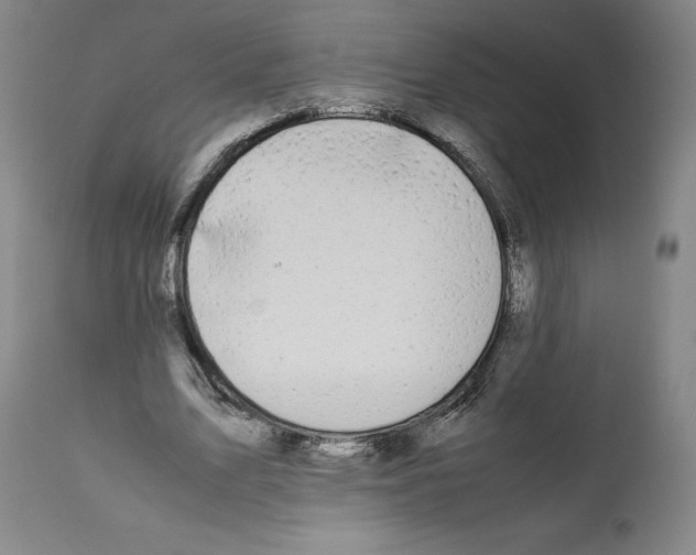 X0000112370583200909241152